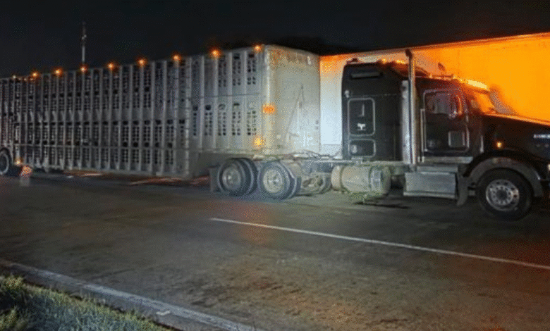 Desmantelan arsenal y red de logística