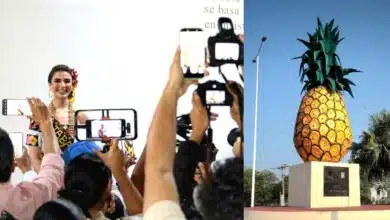 Esperan 20 mil visitantes en el Festival de la Piña 2026