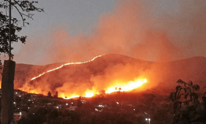 Mega incendio forestal moviliza a cuerpos de emergencia en Oaxaca, Monte Albán