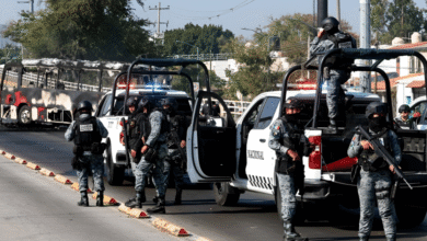 Golpe frontal a la delincuencia