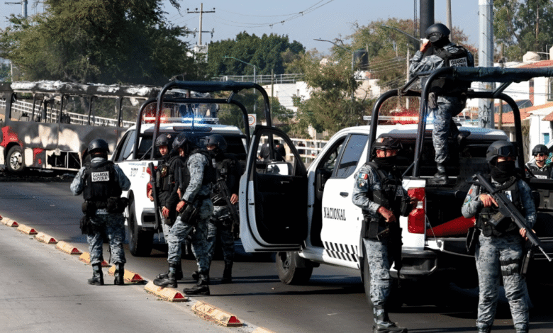 Golpe frontal a la delincuencia