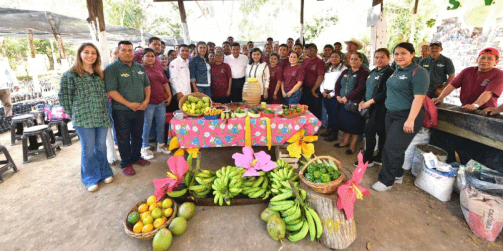 Javier May proyecta la siembra de 30 millones de árboles