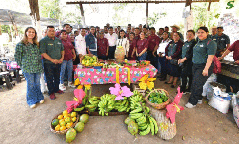 Javier May proyecta la siembra de 30 millones de árboles