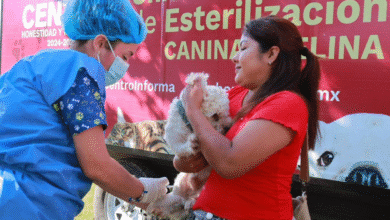 Lleva Osuna Huerta justicia Social a Aztlan