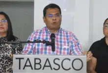 Nadie ha levantado la mano para reelección Morena