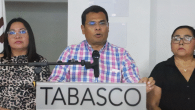 Nadie ha levantado la mano para reelección Morena