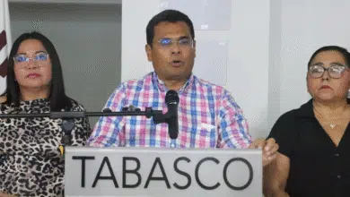 Nadie ha levantado la mano para reelección Morena