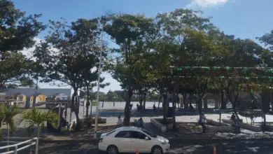 Persistirá ambiente templado y nulas lluvias