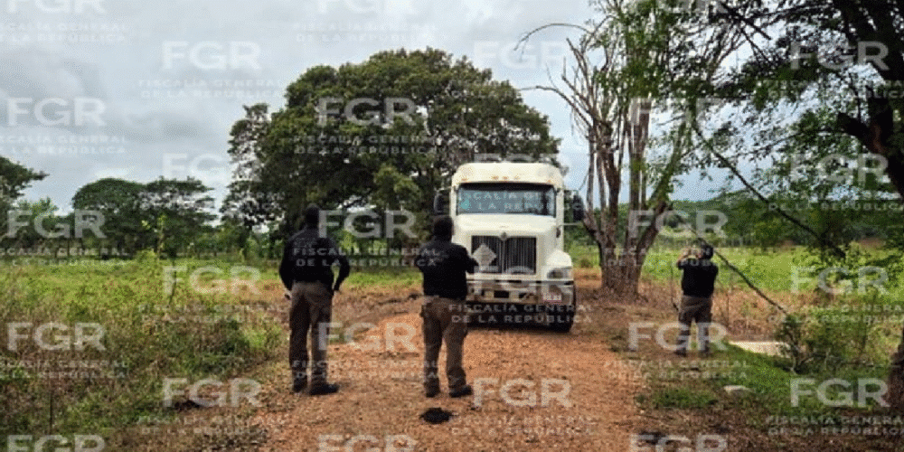 En un despliegue masivo que involucró a fuerzas federales y estatales, la FGR desmanteló un punto de almacenamiento ilícito en una ranchería de Tabasco; el hidrocarburo quedó bajo resguardo federal.