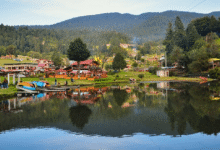 Ubicada entre la Ciudad de México y Toluca, La Marquesa se consolida como una de las opciones turísticas más accesibles para quienes buscan naturaleza, aventura y tradición culinaria en un solo lugar.