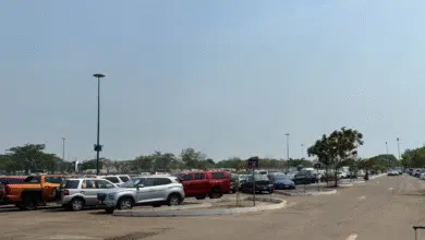 Para asegurar la movilidad y comodidad de los miles de asistentes al Parque Tabasco, la SOTOP despliega una estrategia integral que suma cajones estratégicos en Olimpia XXI y la Nave 3.