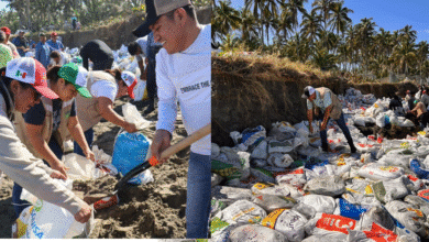 Pueblo y campo, Frenan el avance del mar en el ejido “El Alacrán”