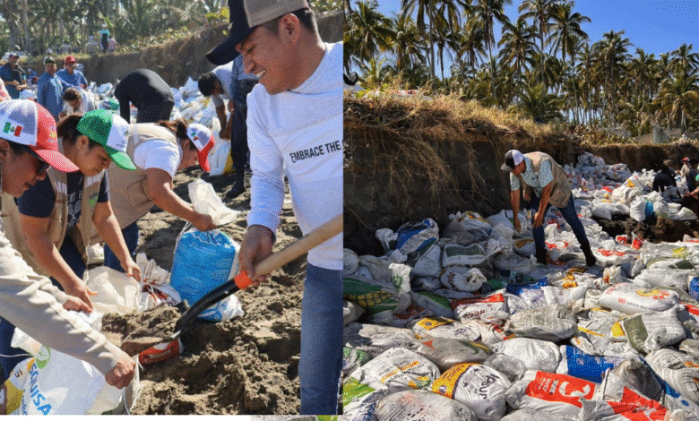 Pueblo y campo, Frenan el avance del mar en el ejido “El Alacrán”