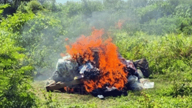 Queman más de 250 kilos de drogas en Tabasco