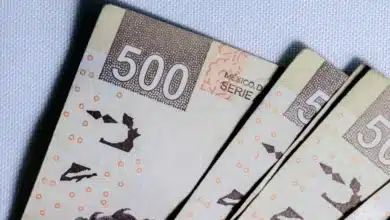 salario mínimo en tabasco 2026 conoce cuánto recibirás por día y mes