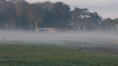 Sin tregua por el calor y fuertes vientos en la Chontalpa