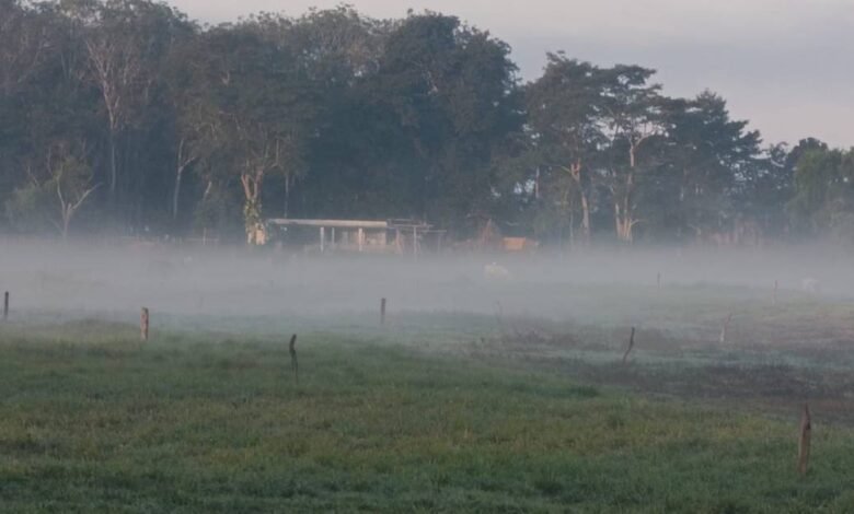 Sin tregua por el calor y fuertes vientos en la Chontalpa
