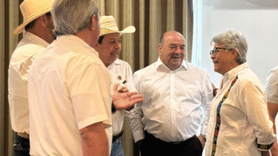 Tabasco va por una ganaderia de cero deforestación