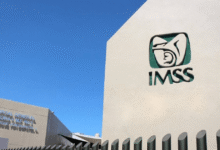 Tarjetón Digital del IMSS será obligatorio en 2026 para consultar pagos y trámites laborales