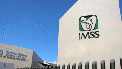 Tarjetón Digital del IMSS será obligatorio en 2026 para consultar pagos y trámites laborales