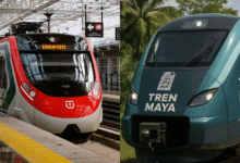 Tren Maya y Tren Interurbano consolidan alianza estratégica por la movilidad nacional (Fotos de internet)