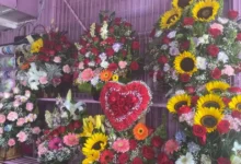 Vendedores de flores en Villahermosa se alistan para San Valentín