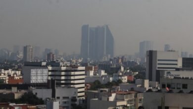 Padecerá México más calor que el resto del mundo (Foto de Secretaría del Medio Ambiente CDMX)