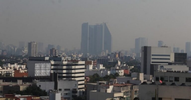 Padecerá México más calor que el resto del mundo (Foto de Secretaría del Medio Ambiente CDMX)