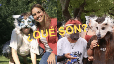 ¿Qué son los Therians el fenómeno viral que debate sobre identidad y tolerancia digital