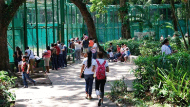 Afluencia turística en el Parque Museo La Venta se triplica este año