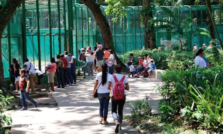 Afluencia turística en el Parque Museo La Venta se triplica este año