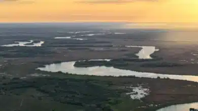 Calor extremo y lluvias nocturnas, el pronóstico para este día