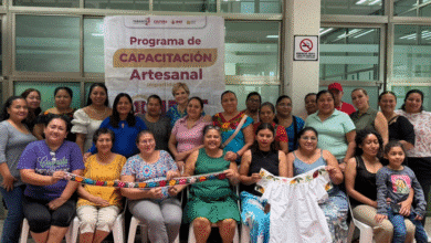 Cárdenas impulsa el arte del punto lomillo