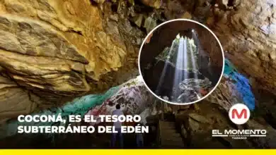 Coconá, es el tesoro subterráneo del Edén