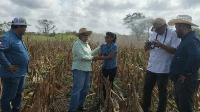 El Agua que Transforma Sueños en Cosechas