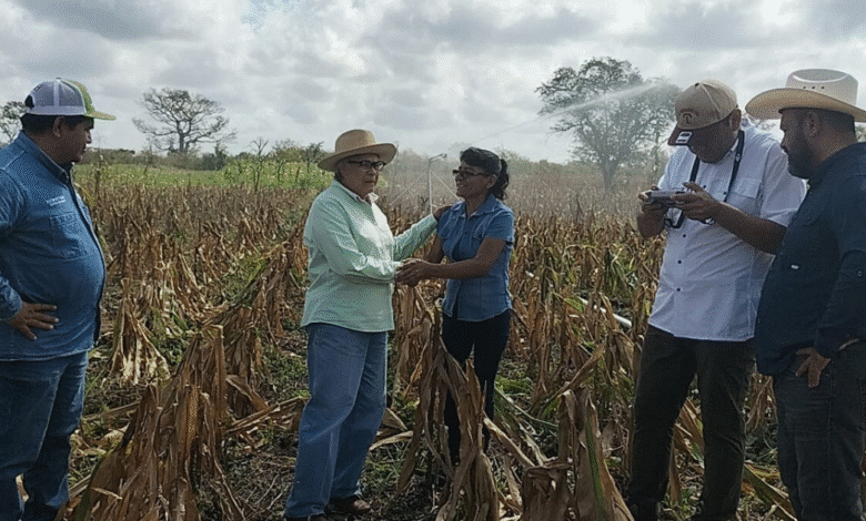El Agua que Transforma Sueños en Cosechas