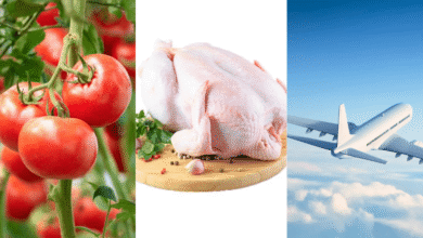 Inflación en México se deja ver en el precio del pollo, vuelos y tomate (Imágenes de internet)