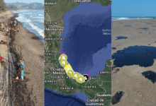23 días del derrame en el Golfo de México, ya 630 km contaminados (Fotos de internet)
