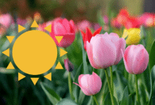 Equinoccio de primavera 2026 hora exacta y qué significa este fenómeno en México