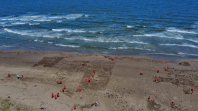 Gobierno de México refuerza acciones integrales ante presencia de hidrocarburos en costas del Golfo de México