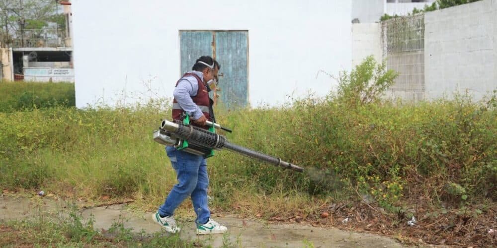 Guerra total contra el mosquito en Tabasco