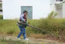 Guerra total contra el mosquito en Tabasco