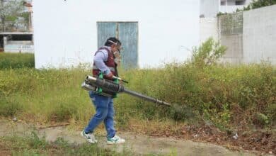 Guerra total contra el mosquito en Tabasco