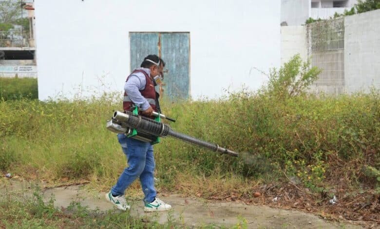 Guerra total contra el mosquito en Tabasco