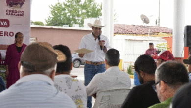 Impulsa Gobierno de Tabasco repoblamiento pecuario con Crédito Ganadero a la Palabra