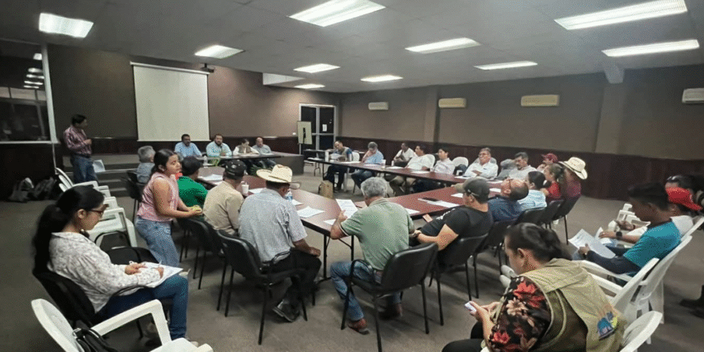 Impulsan ganadería sustentable en Tabasco