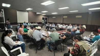 Impulsan ganadería sustentable en Tabasco