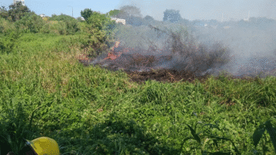 La mayoría de los incendios son provocados PC