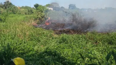 La mayoría de los incendios son provocados PC