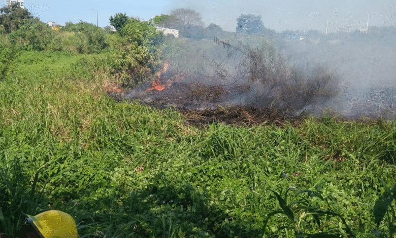 La mayoría de los incendios son provocados PC